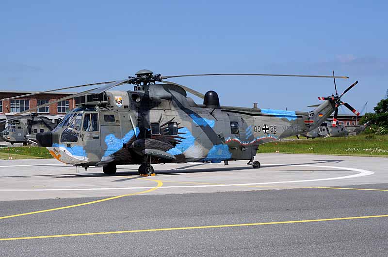 Bild 3a.JPG -  Left side of the s/c Sea King of 2010 